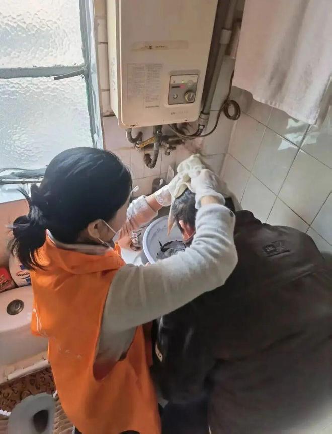 服务让老人“家”倍温暖！瓦利棋牌长宁这项国家试点